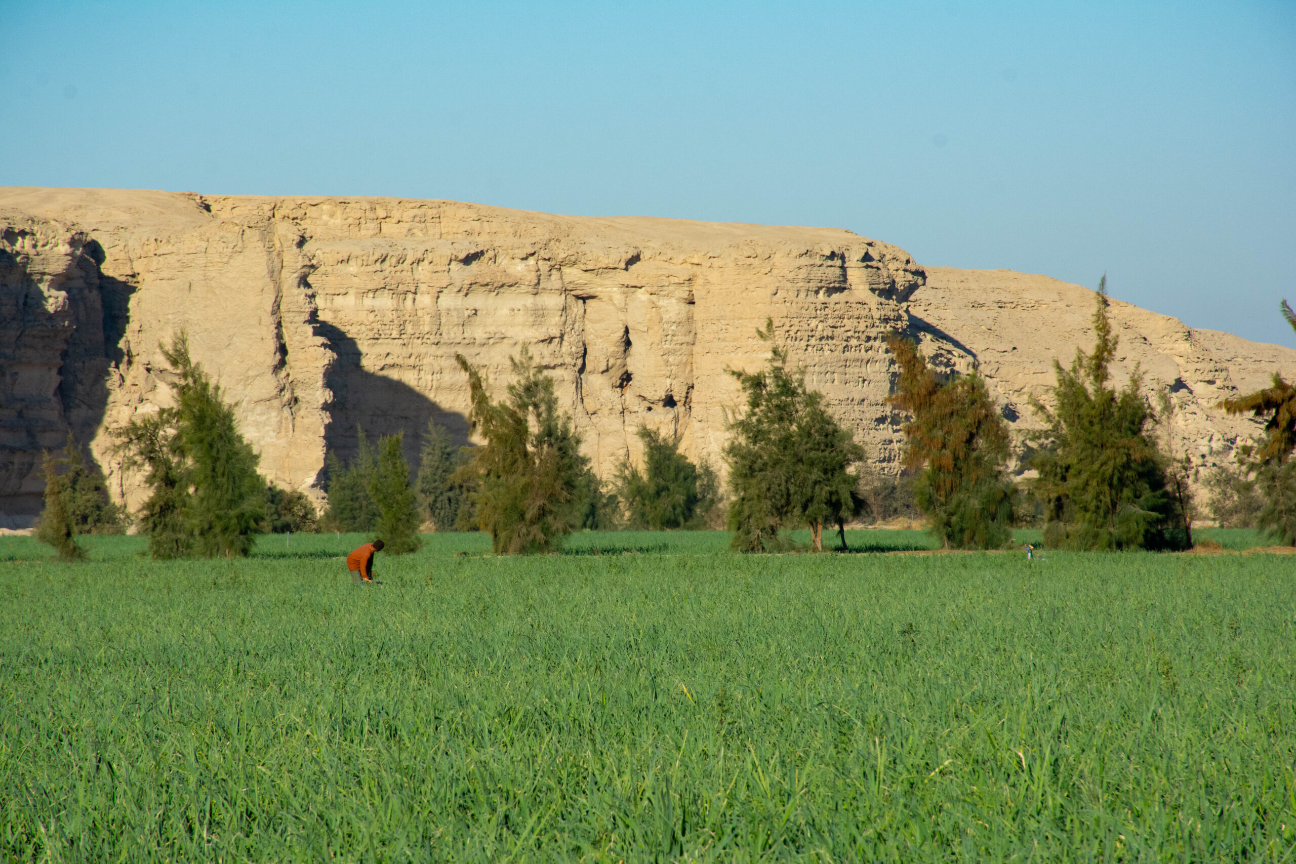 DSC_6078 DSC_6078