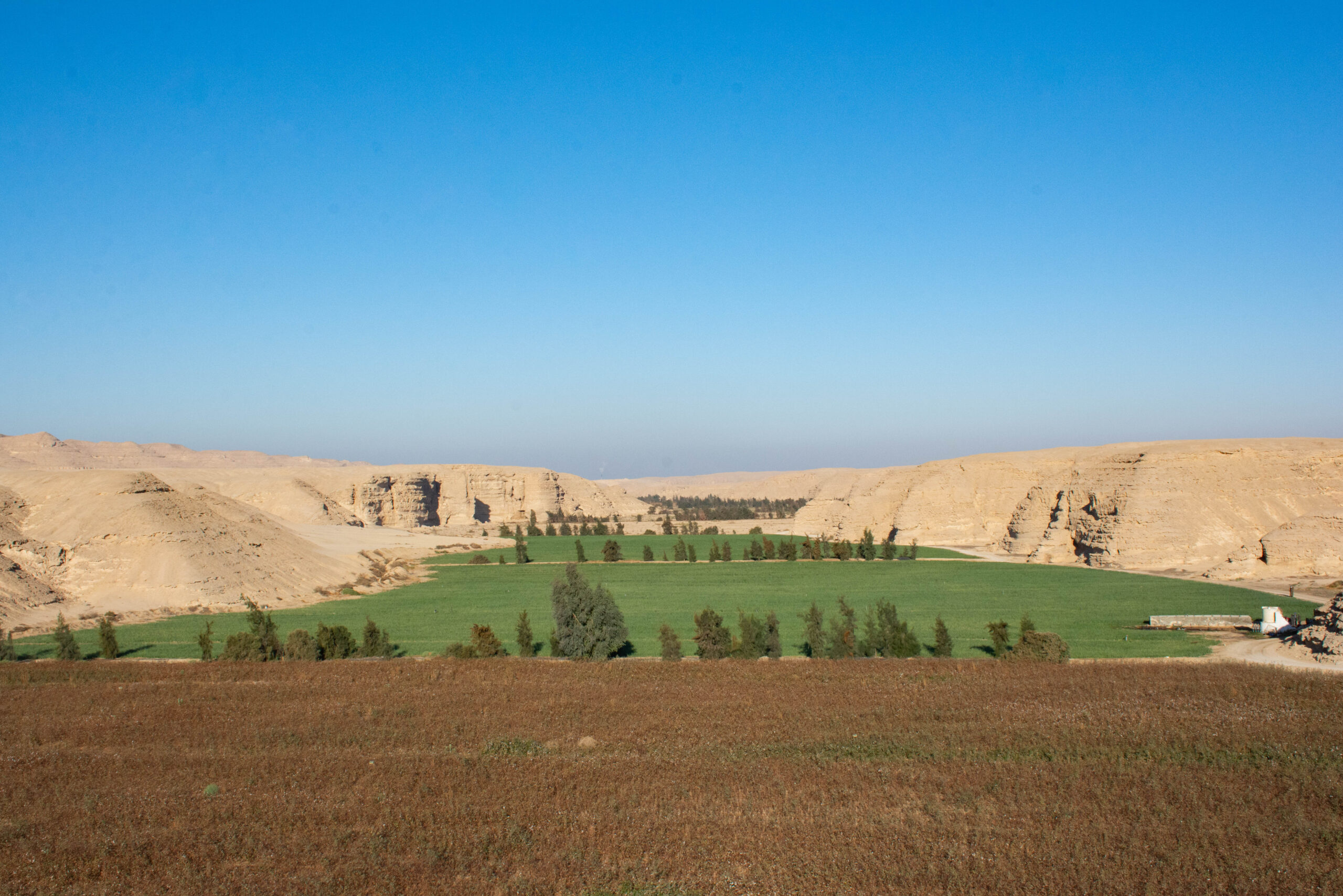 DSC_6089 DSC_6089