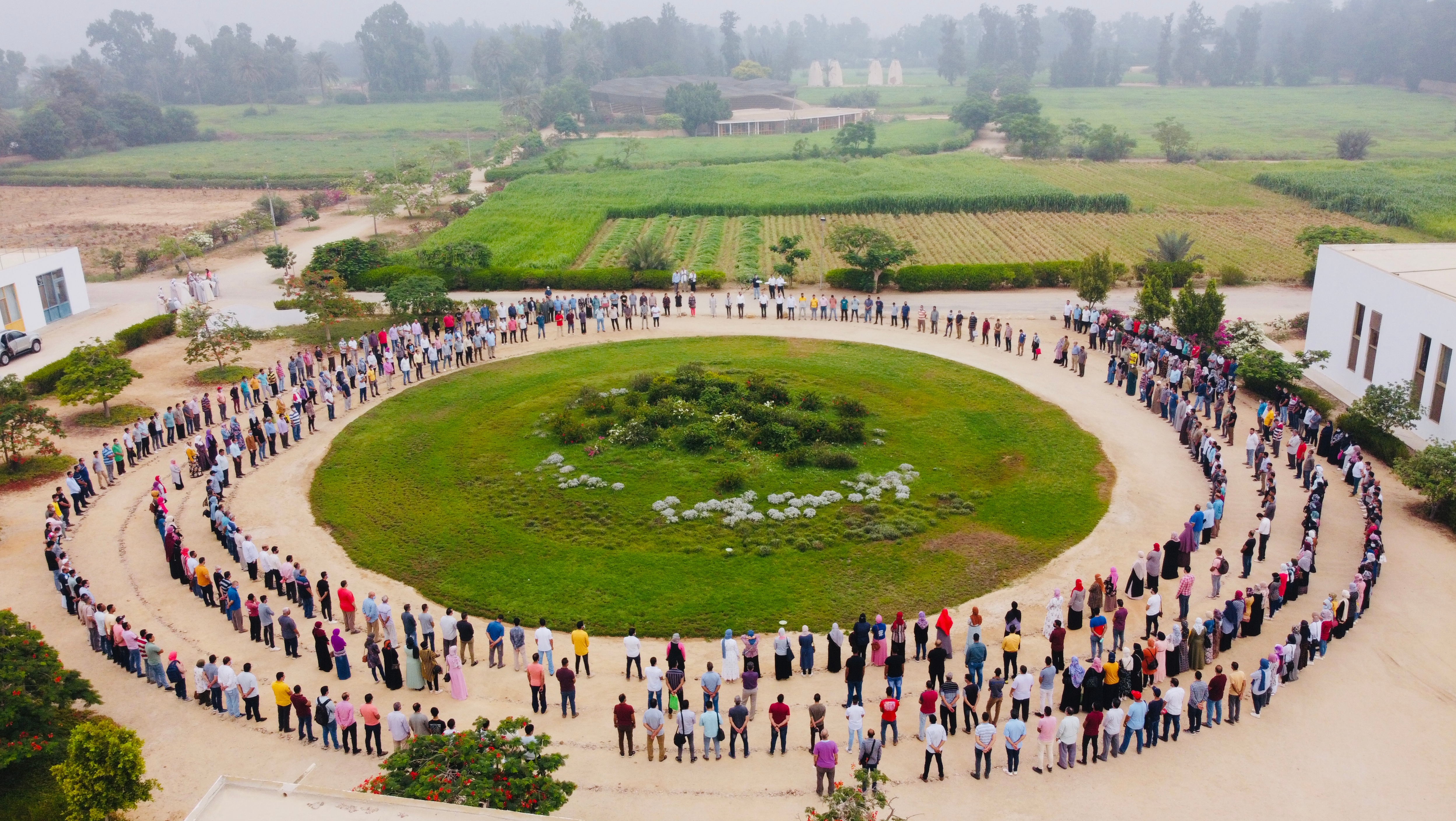 sekem circle sekem circle