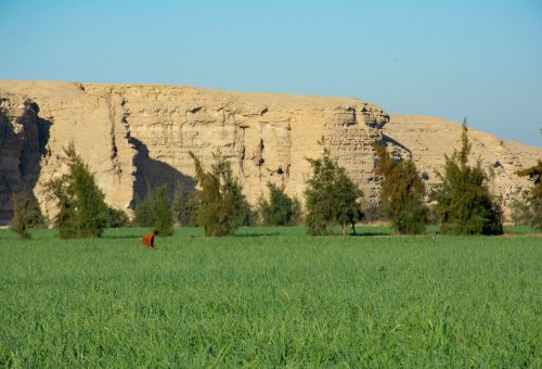 DSC_6078 DSC_6078